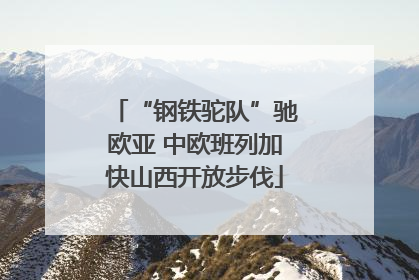 “钢铁驼队”驰欧亚 中欧班列加快山西开放步伐
